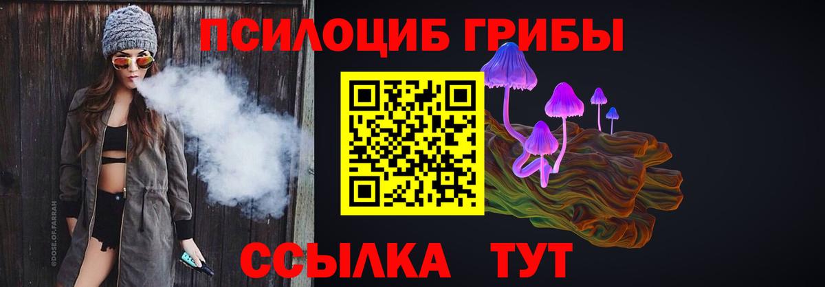 Галлюциногенные грибы Cubensis  Вход с VPN  Волоколамск 
